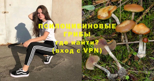 мескалин Аркадак