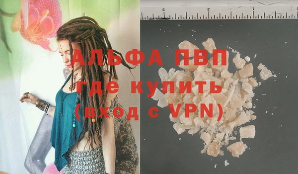 индика Алзамай