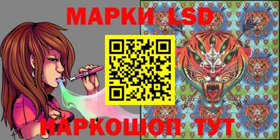 спайс Аргун